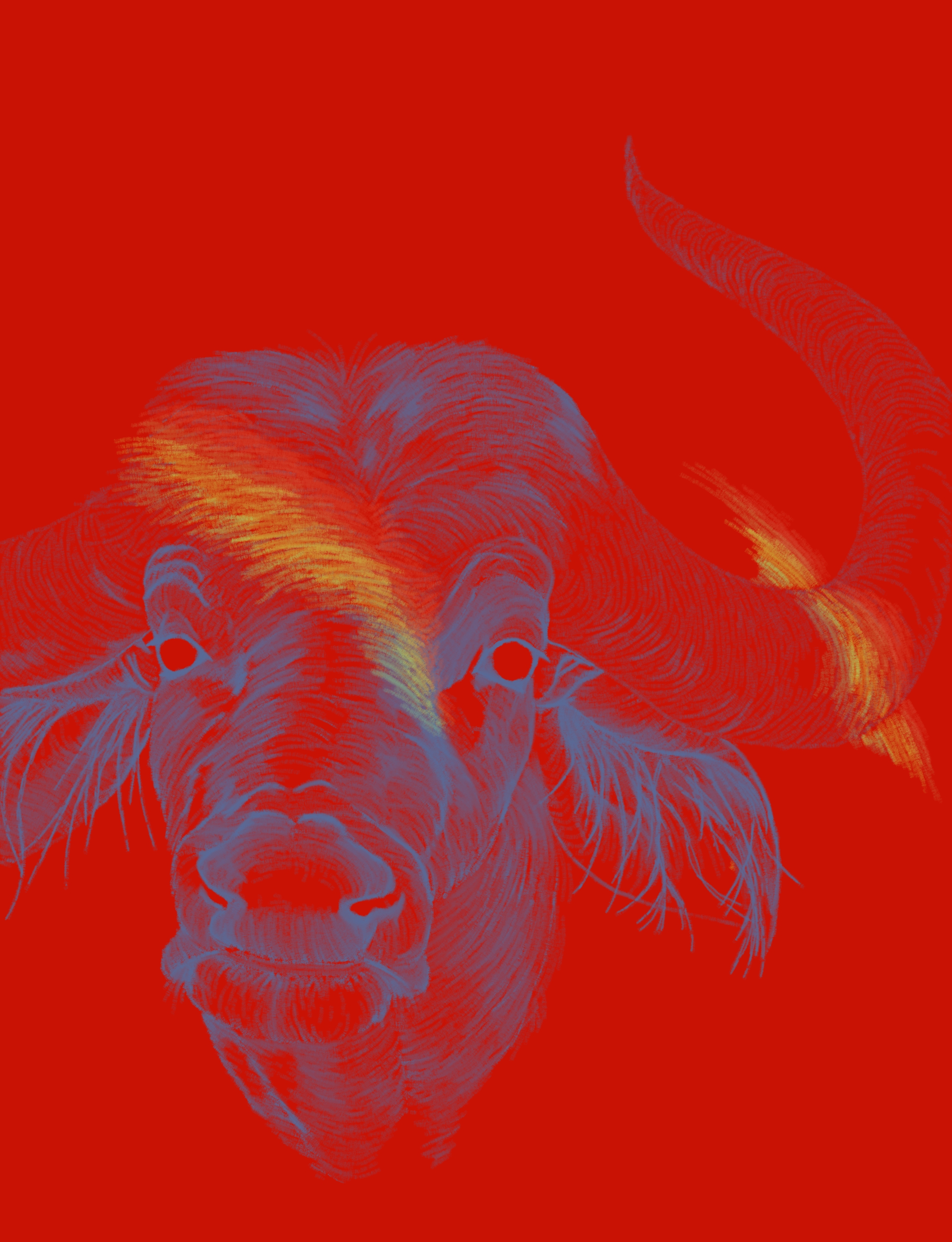 "The Bull" (red)