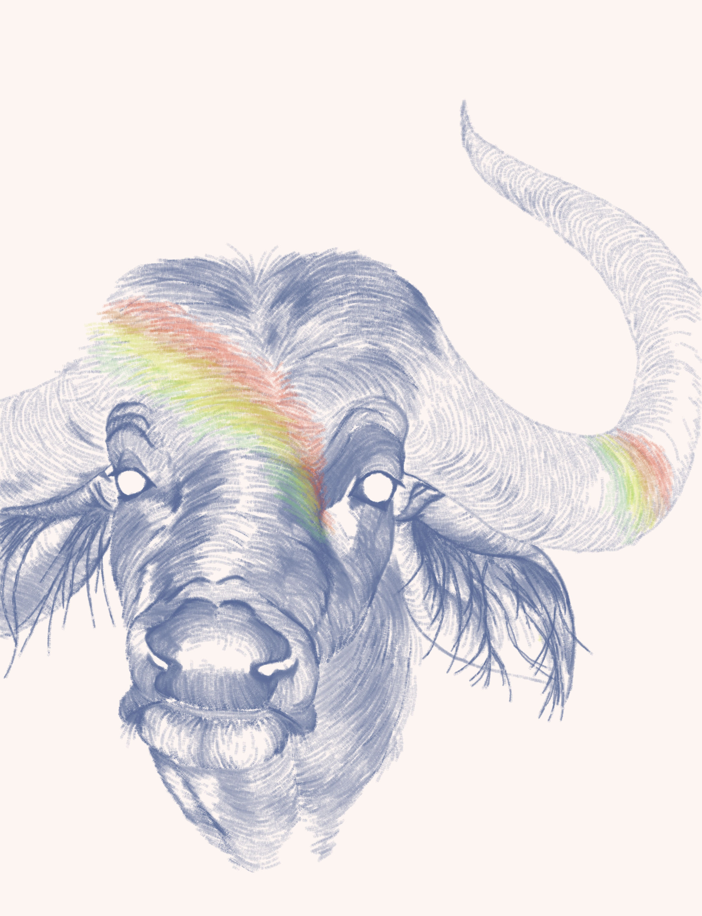 "The Bull"