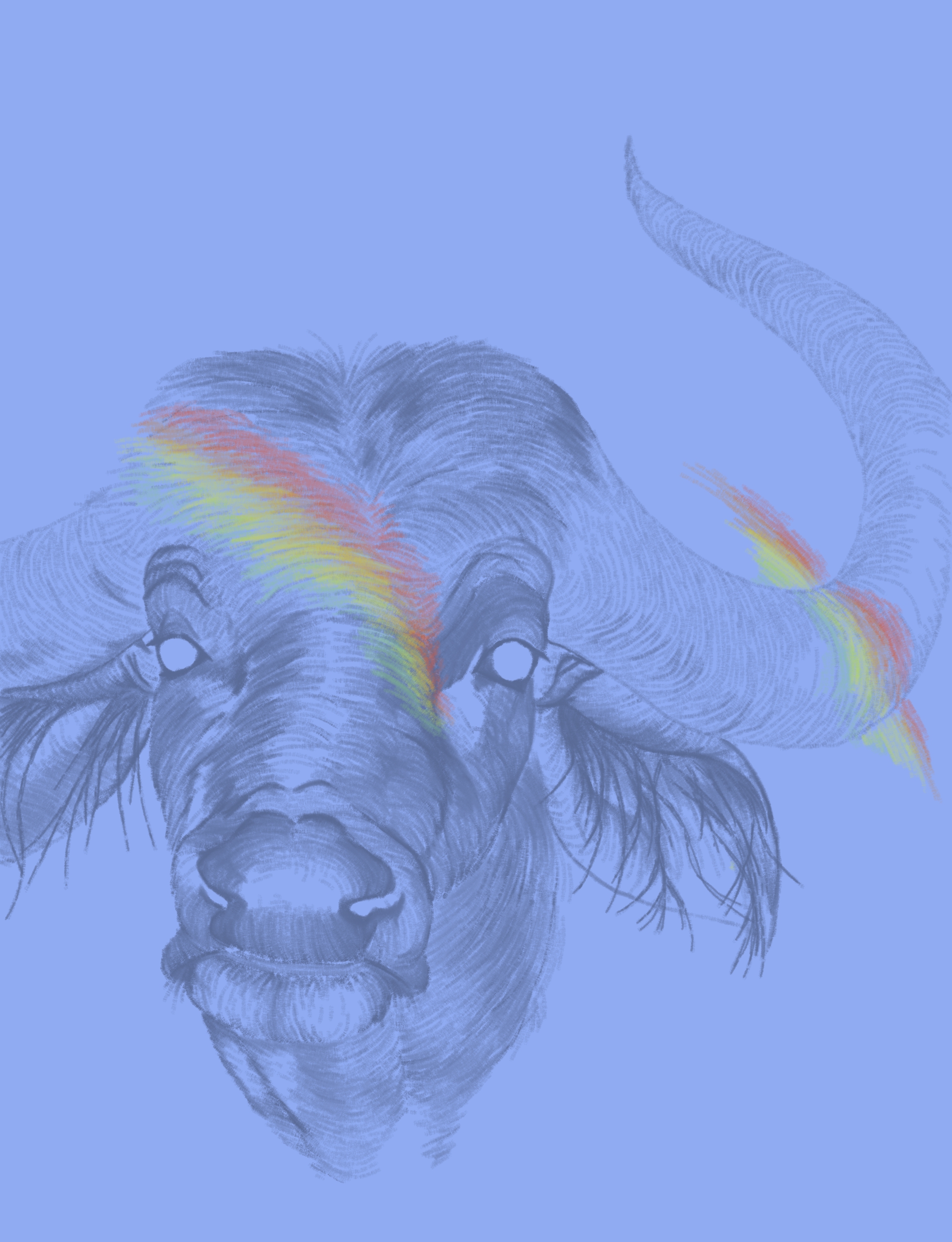 "The Bull" (violet)